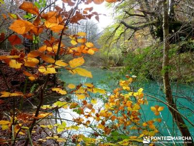 Parques Naturales Urbasa-Andía y Aralar - Nacedero del Urederra; viajes puente almudena